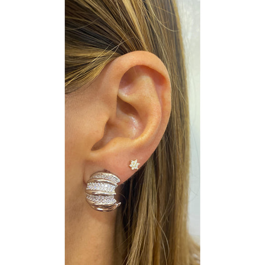 Aretes PREMI Plateados