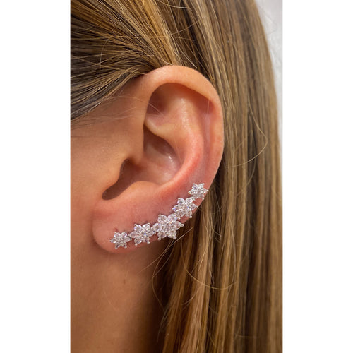 Aretes IPOV Plateado
