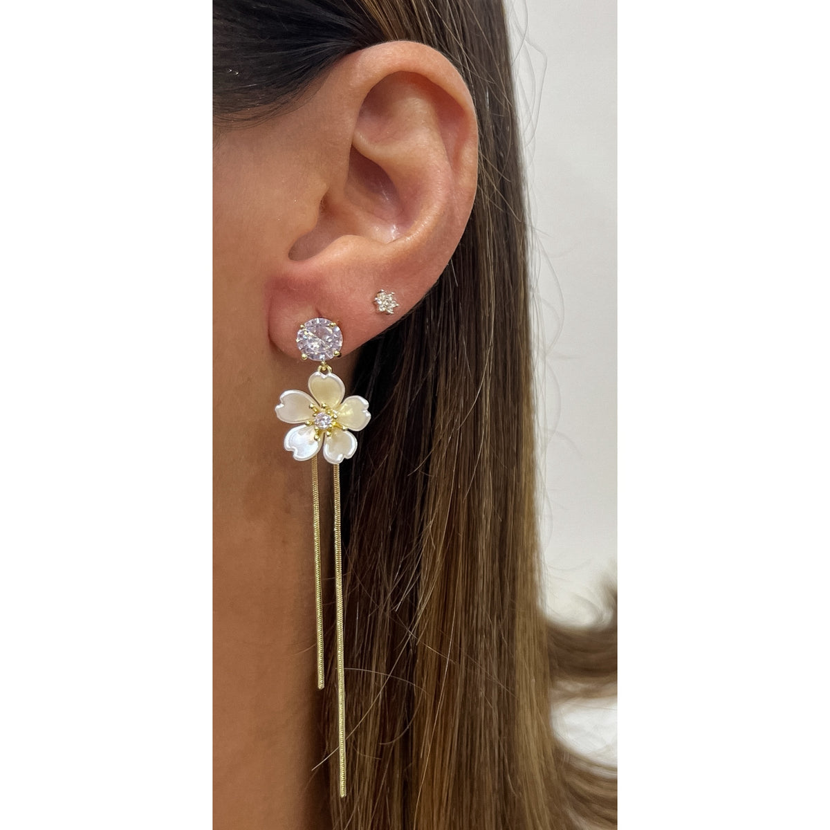 Aretes LOPA