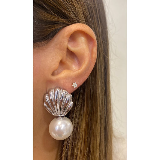 Aretes RAMI