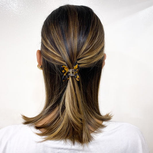 Caiman XEPIZ Ambar-Negro