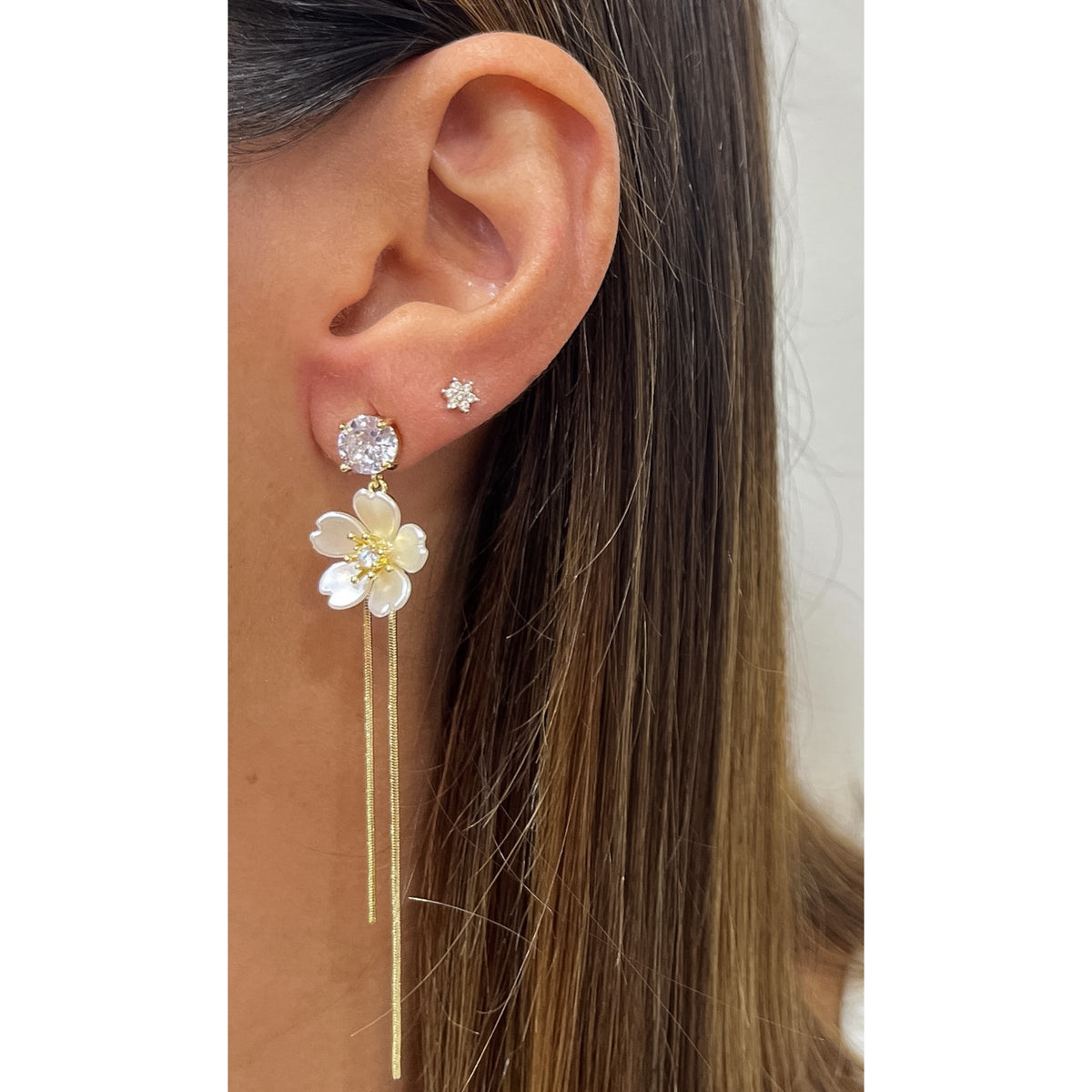 Aretes LOPA