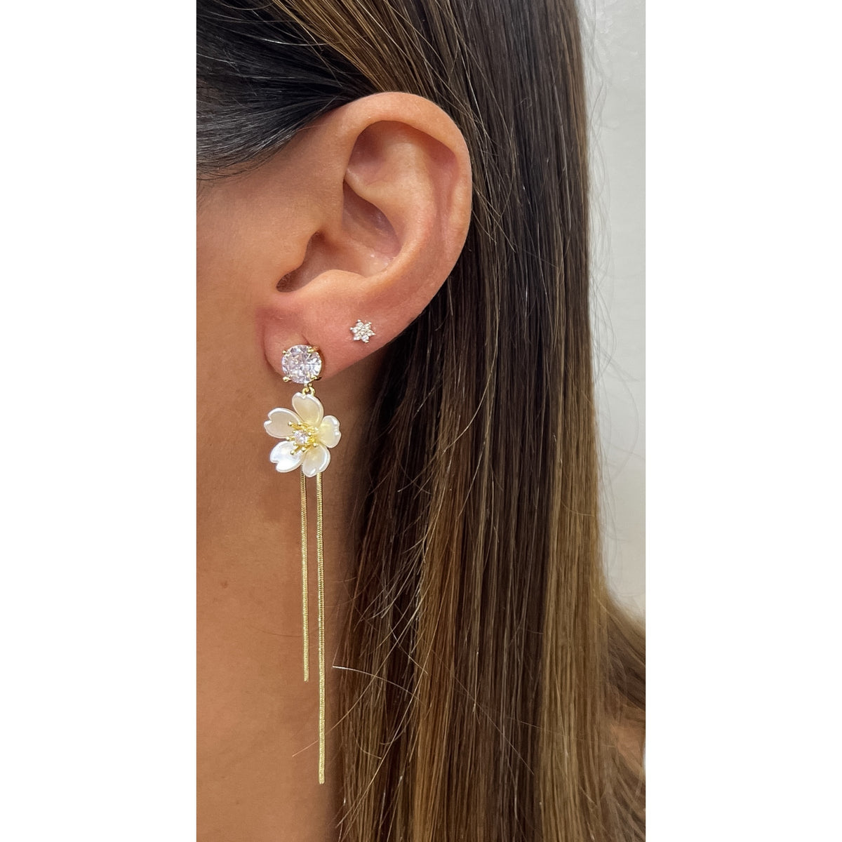Aretes LOPA