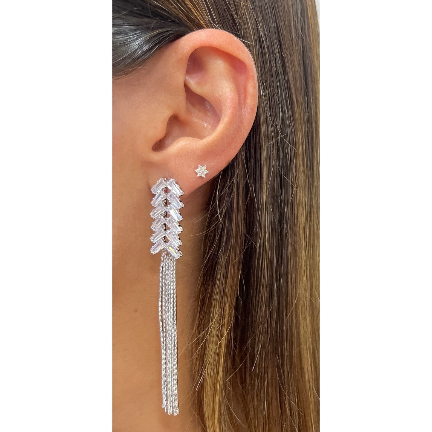 Aretes ISPET Plateado