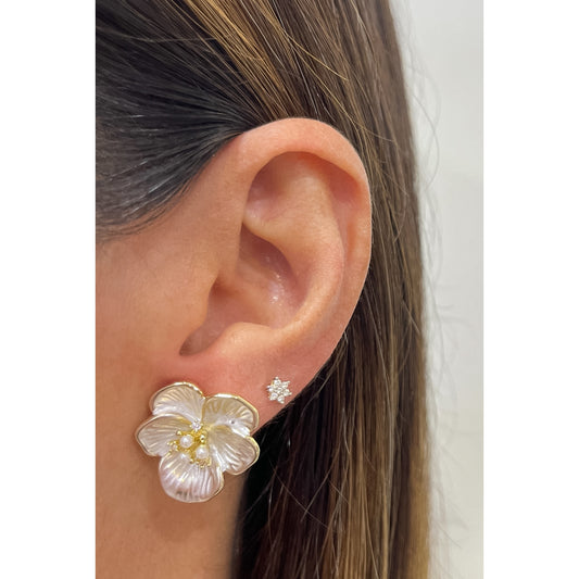 Aretes DUPE