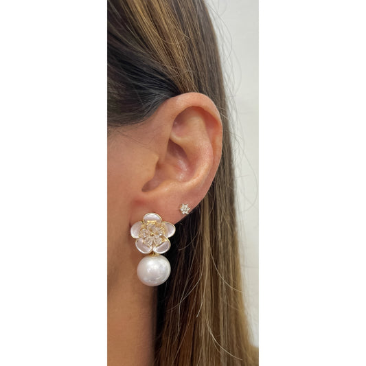 Aretes ILUR