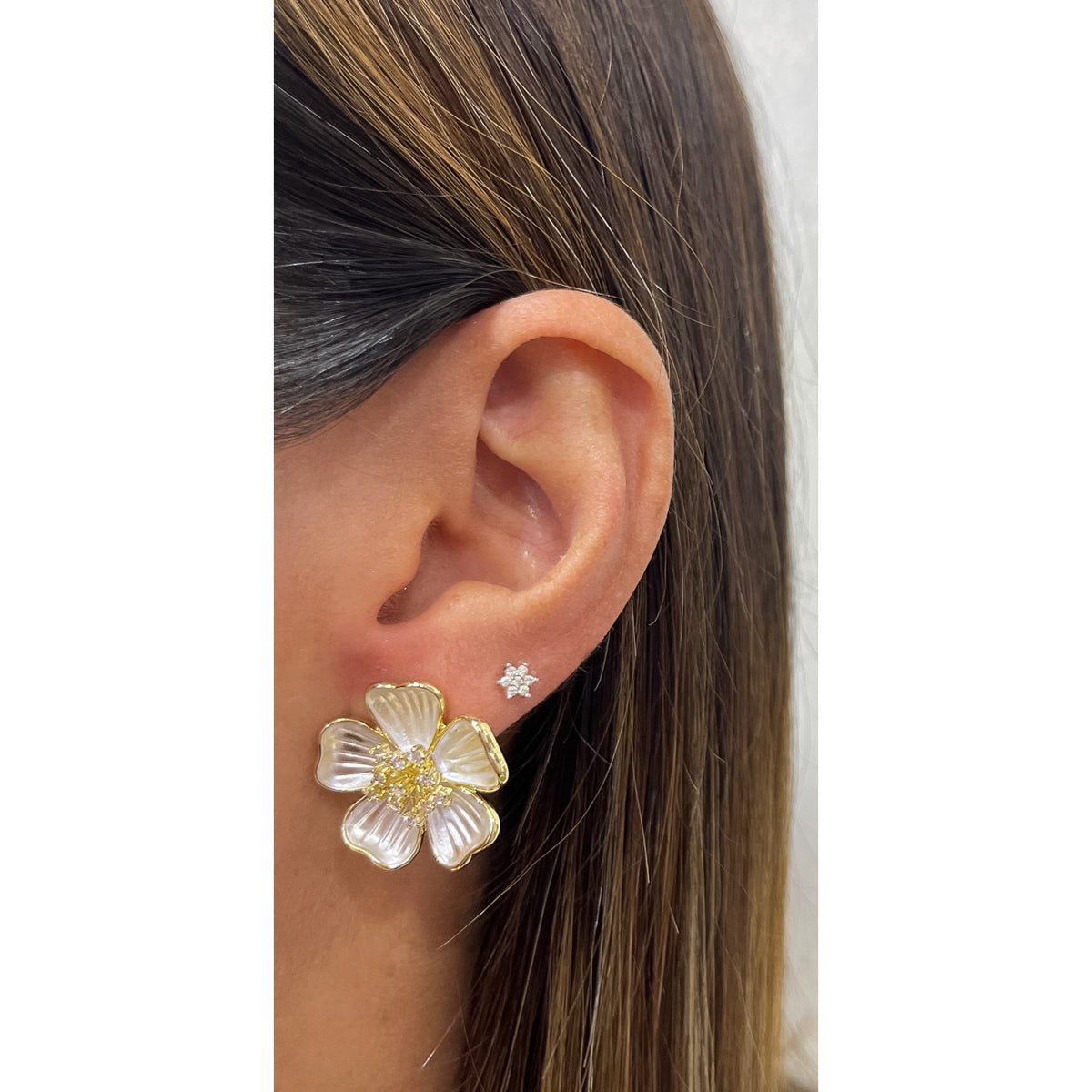 Aretes BAKEP