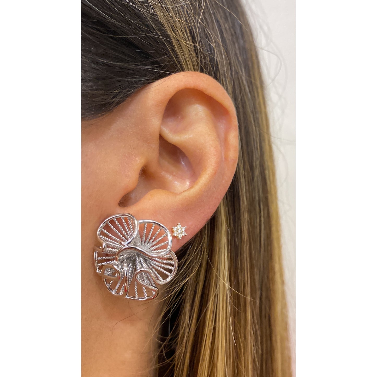 Aretes MALYR Plateado