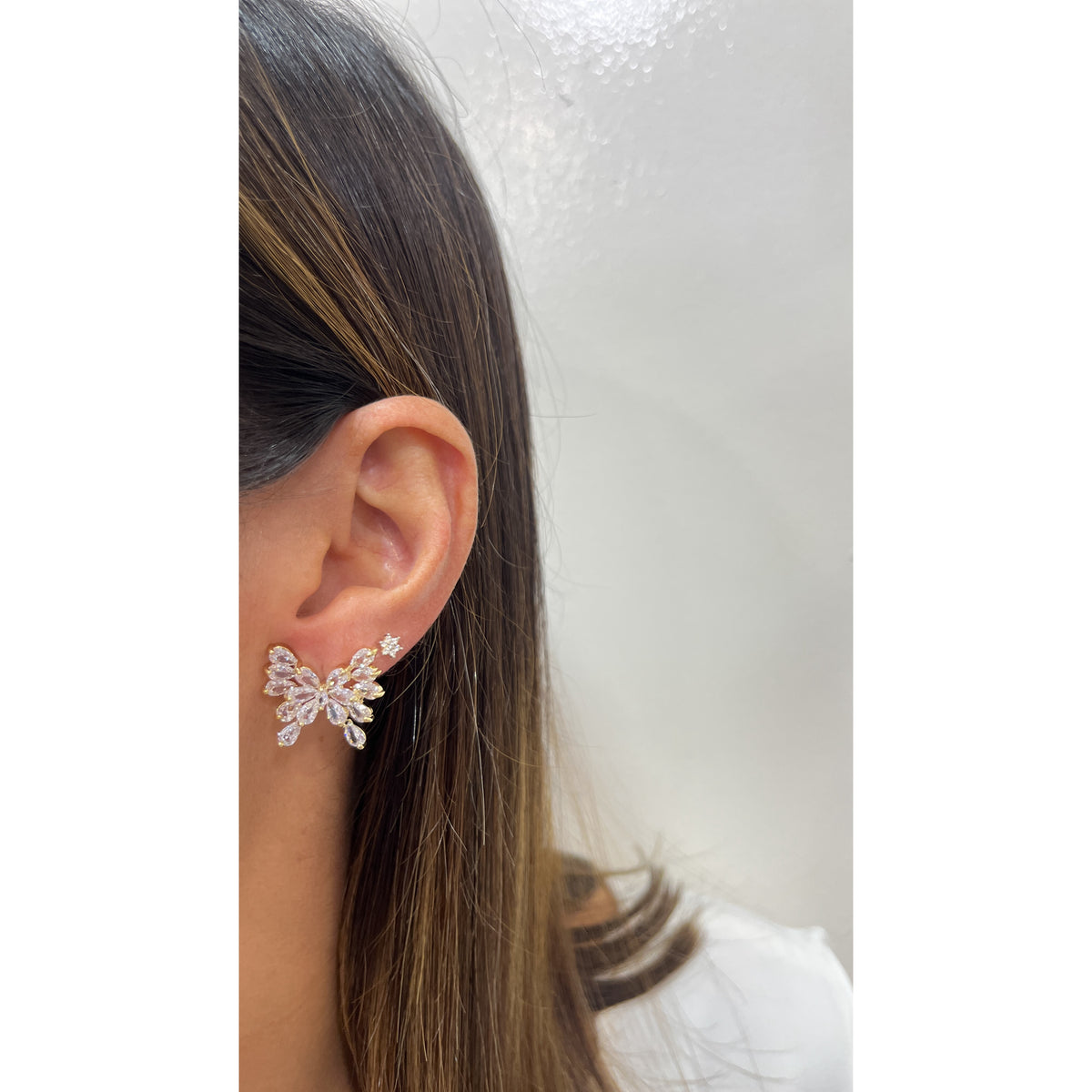 Aretes CIFUT